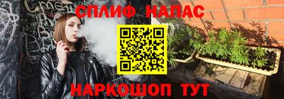 ешки Нарткала