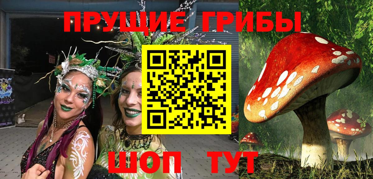 Рославль  Галлюциногенные грибы Psilocybe  Вход с VPN  Галлюциногенные грибы Magic Shrooms 