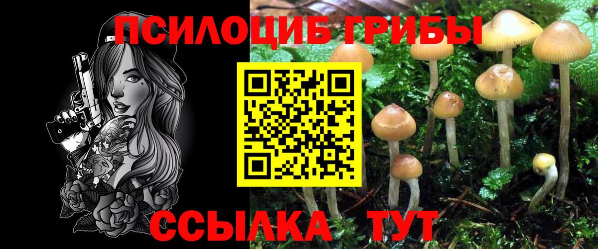 Псилоцибиновые грибы GOLDEN TEACHER Рославль